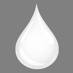 White Only
